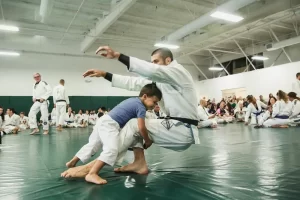 Gracie Jiu Jitsu